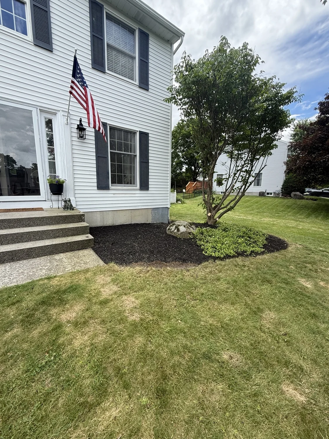 Existing side landscape bed before design