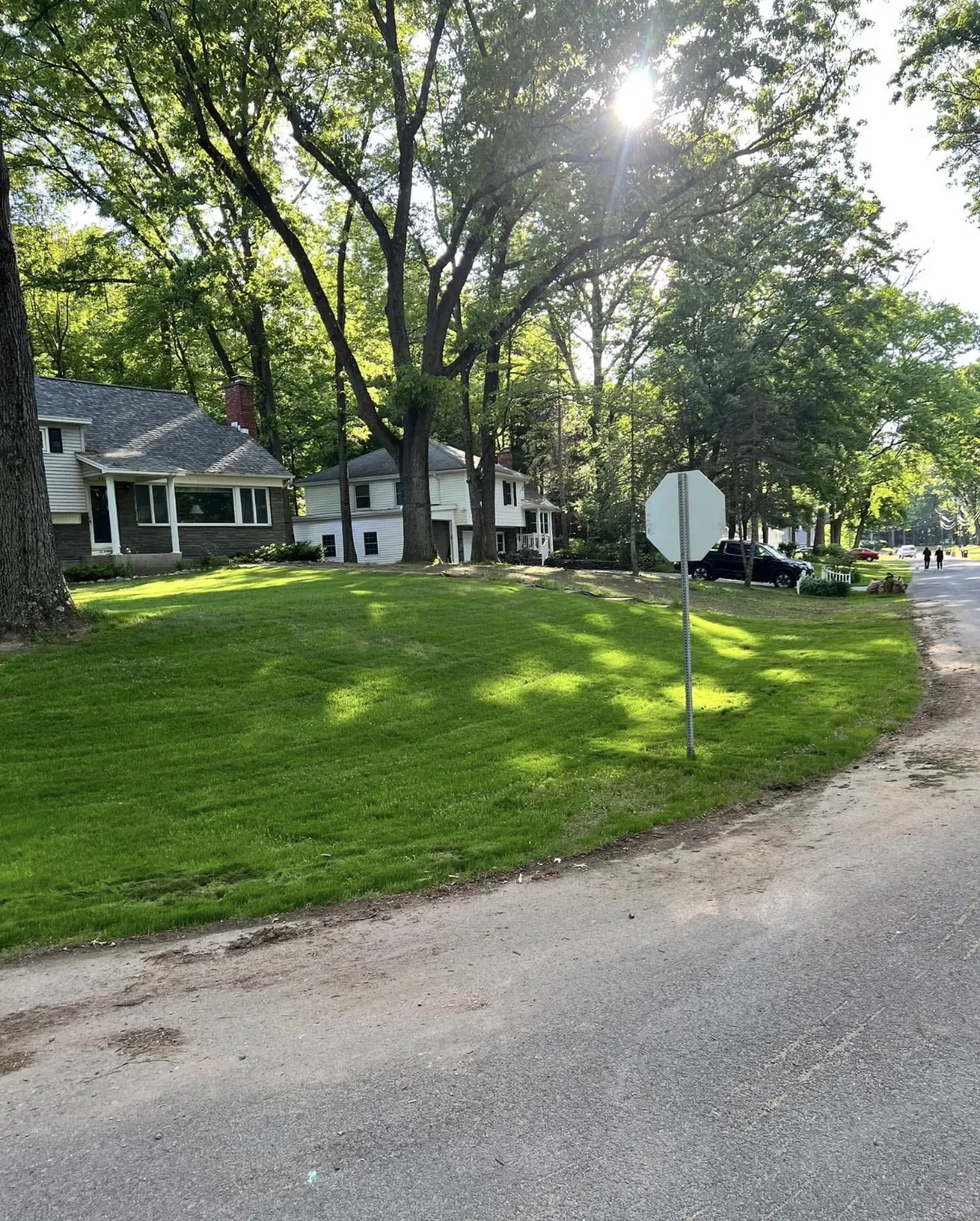 Lawn after renovation