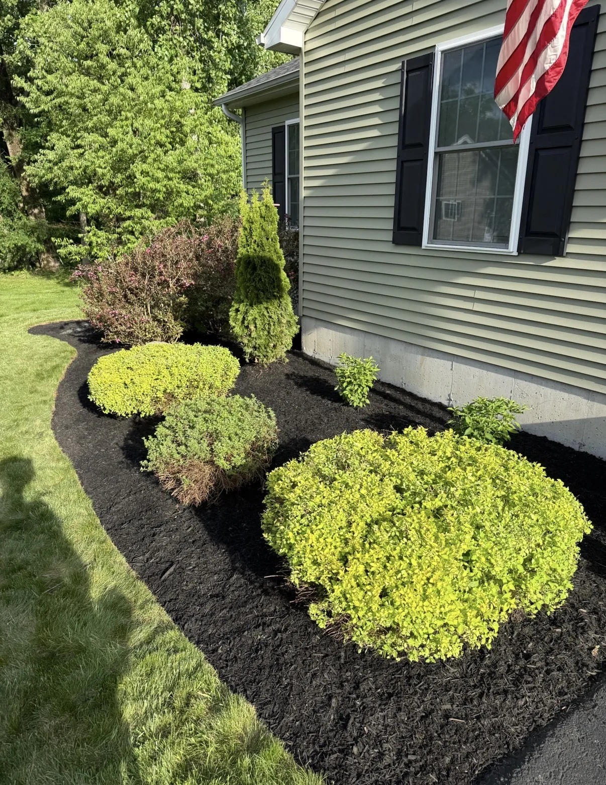 Landscape bed after cleanup