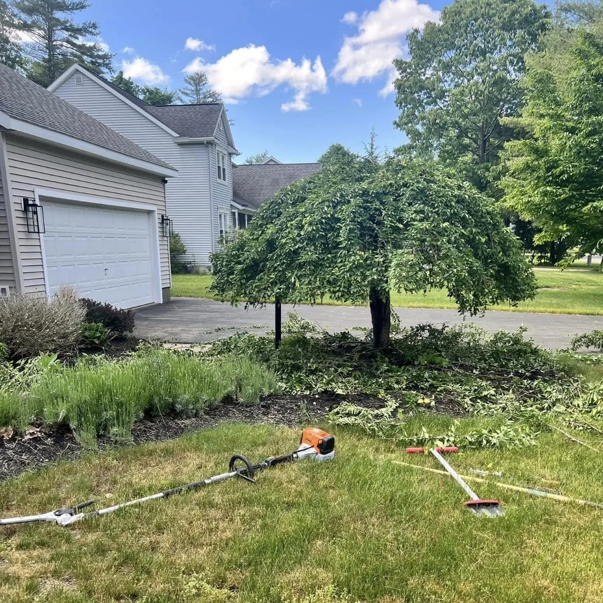 Property before landscaping